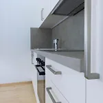 Casa Carinthia 公寓 萨姆瑙恩